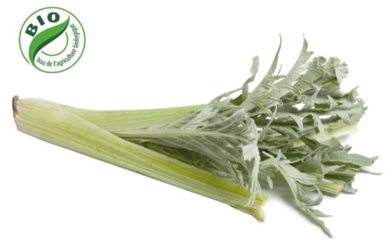 Image de Cardon - (Au Kg)