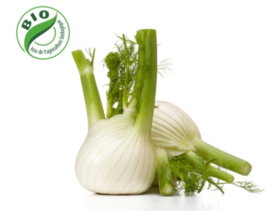 Image de Fenouil - (Au Kg)