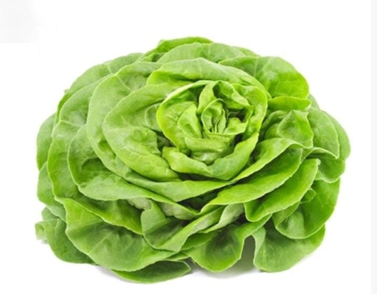 Image de Salade Iceberg