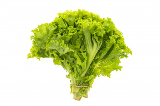 Image de Batavia rouge - (100g)