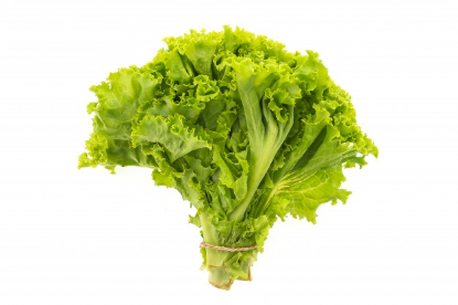 Image de Batavia verte - (100g)