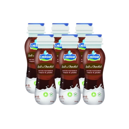 Image de Lait au chocolat - Pack - (6*170ml)